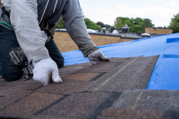 Best Flat Roof Repair Services  in Brownsville, OR