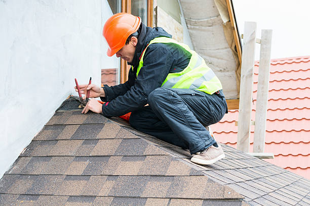 Best Roof Gutter Cleaning  in Brownsville, OR